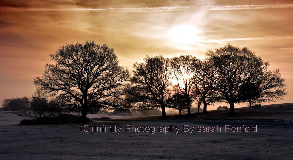 Rosedale Bed And Breakfast Lyndhurst Bagian luar foto
