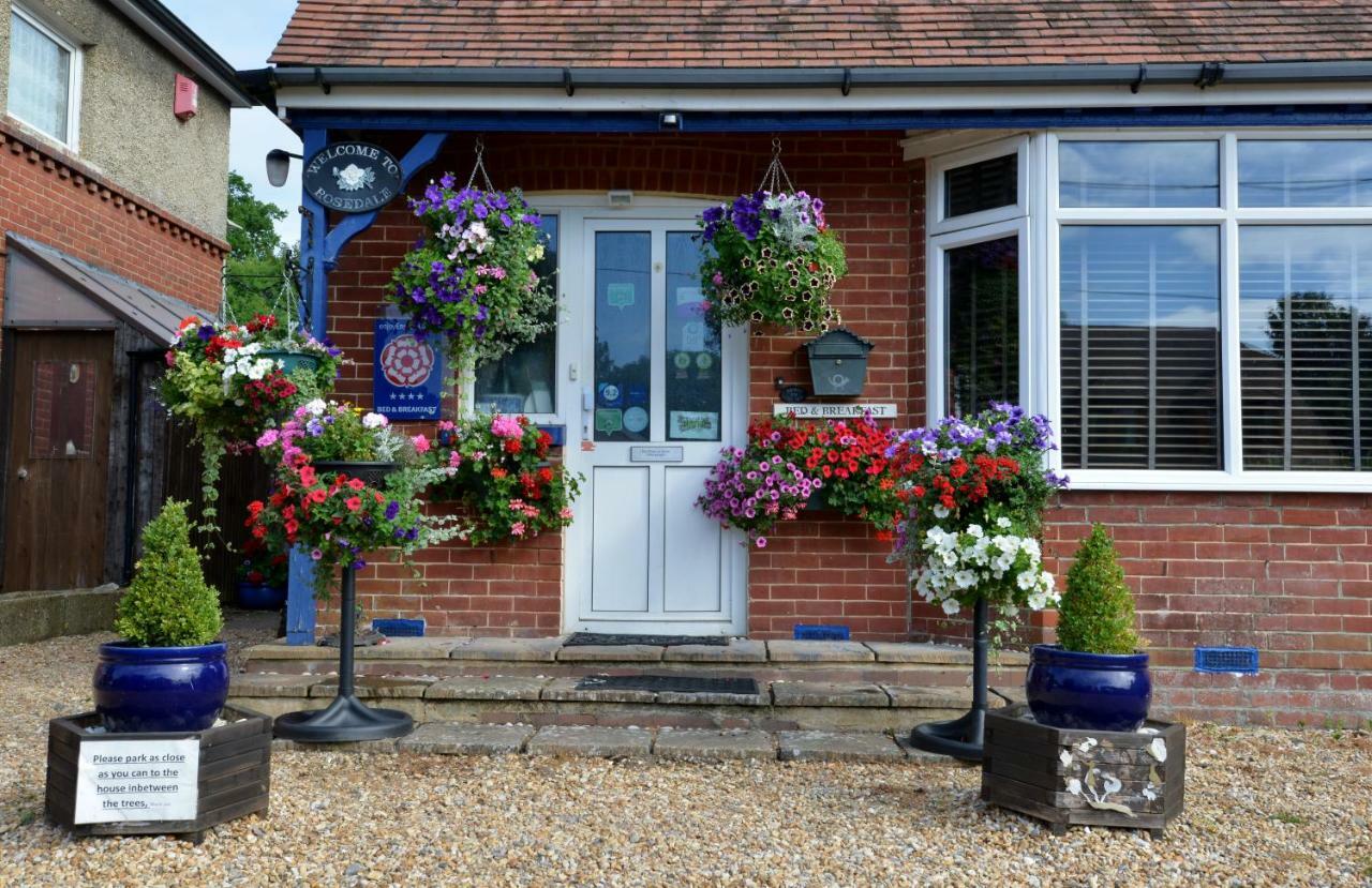Rosedale Bed And Breakfast Lyndhurst Bagian luar foto