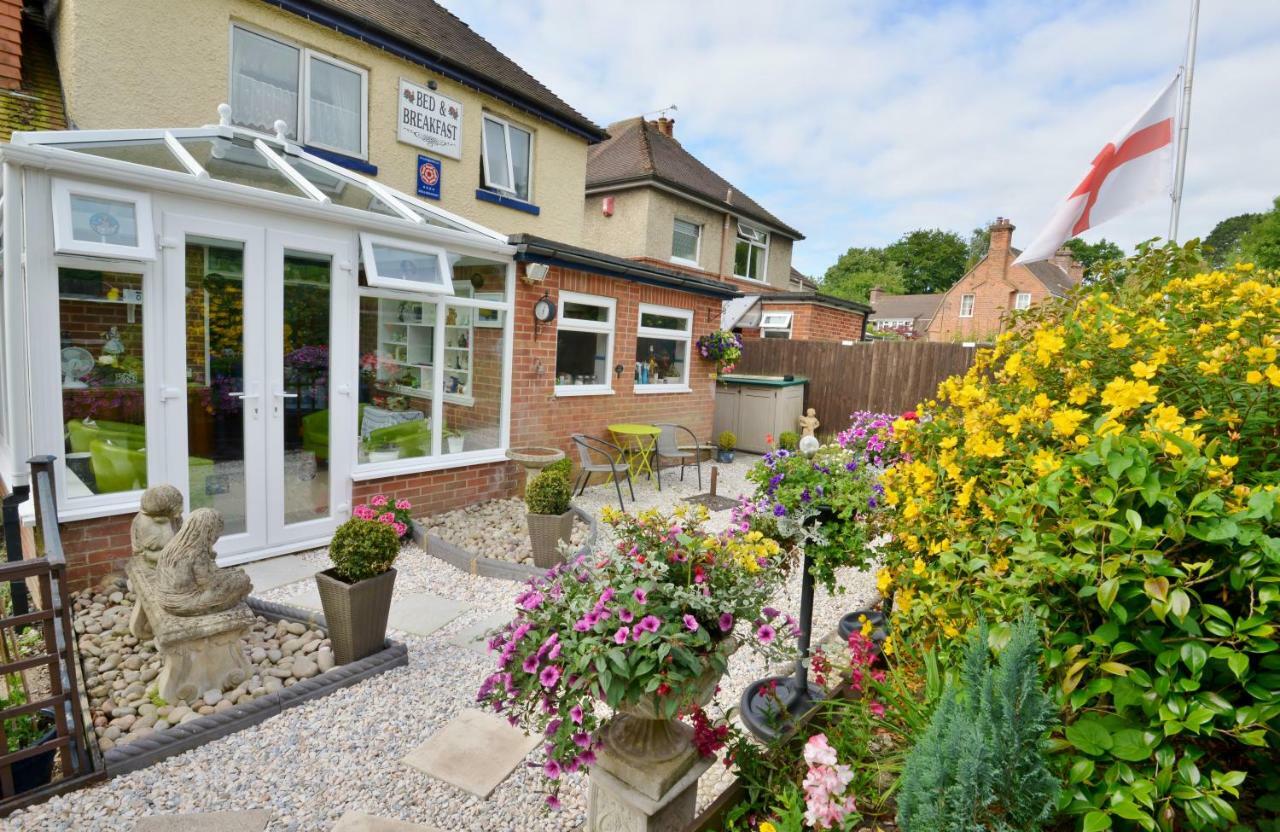 Rosedale Bed And Breakfast Lyndhurst Bagian luar foto